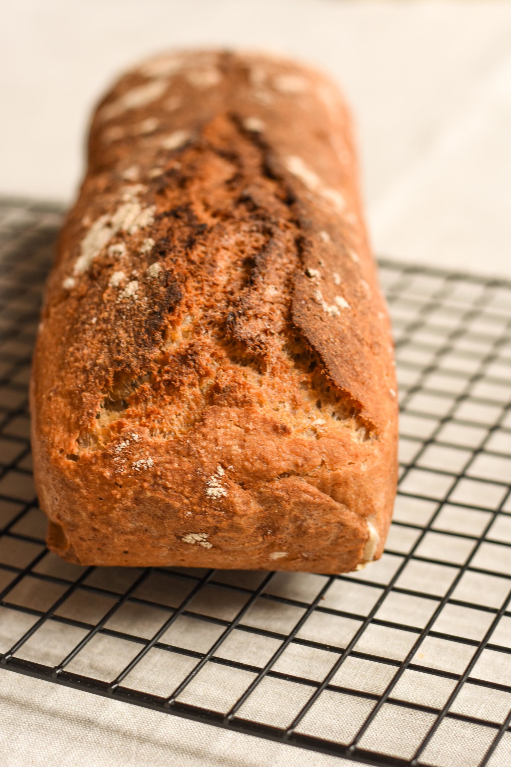 Glutenfreies Brot backen mit Haferflocken und Buchweizenmehl