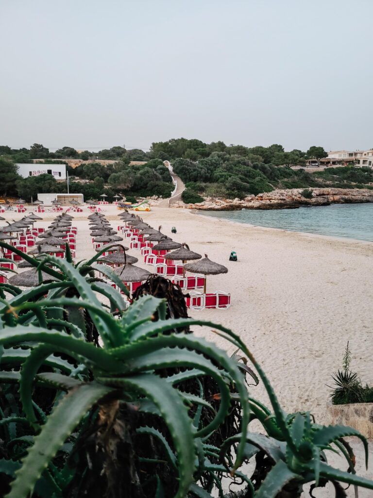 Strand bei Organic Mallorca